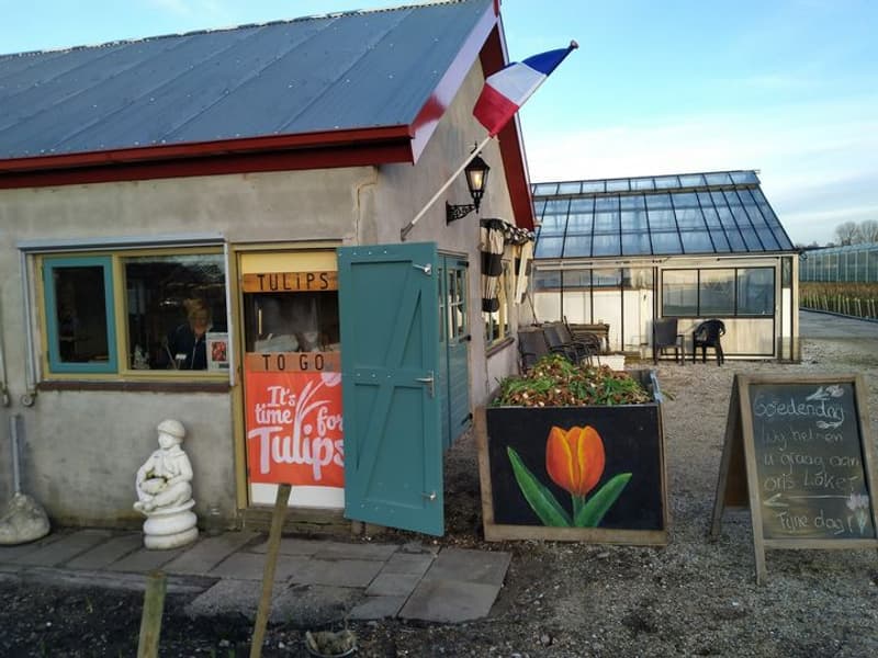 Tulips to go, schuurje met loket