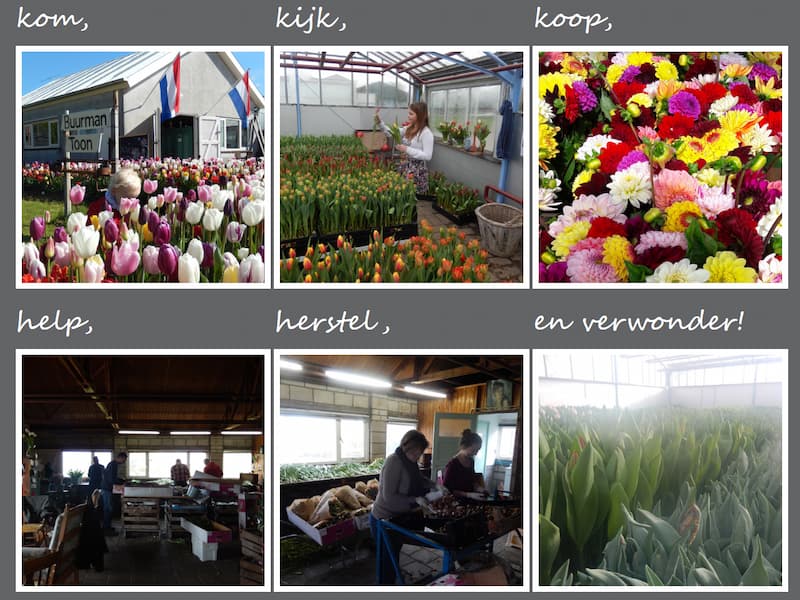 6 fotos van buurmantoon